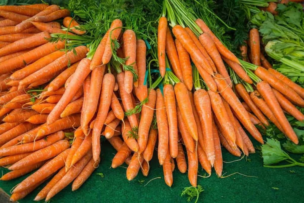 Top 5 States That Produce Carrots​​ in USA
