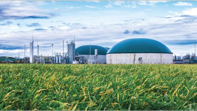 Comprehensive List of Biogas Plants in India for Sustainable Growth